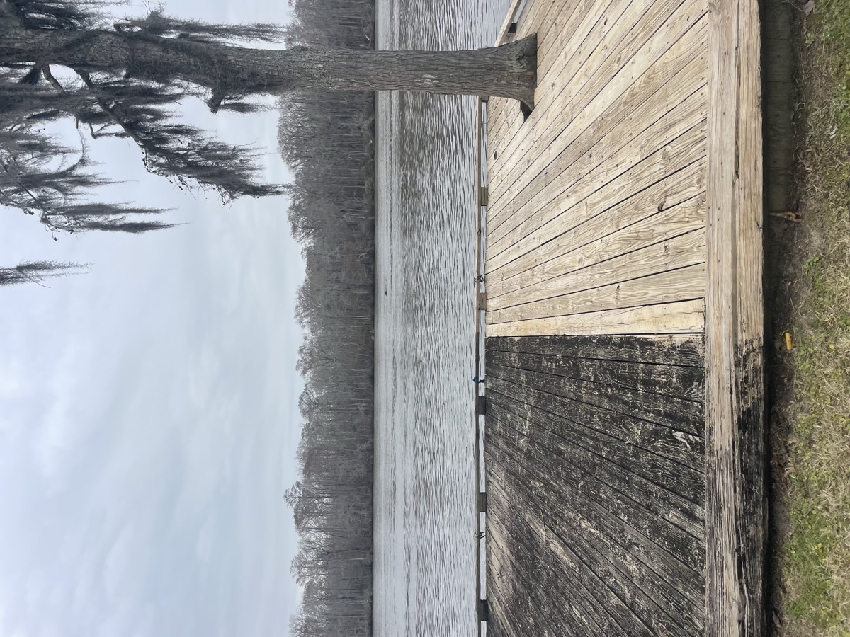 Dock cleaning by Delta Flow Company